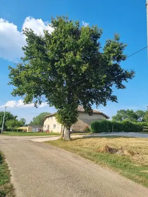 Paysage naturel près de le séjour chez l'habitant