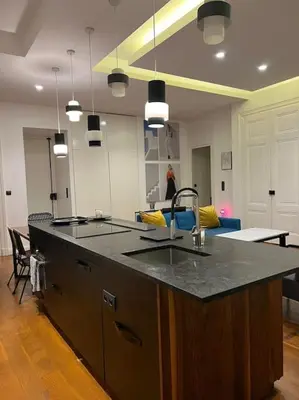 Cuisine ou kitchenette dans l'établissement Stunning apartment in the center of Lyon !