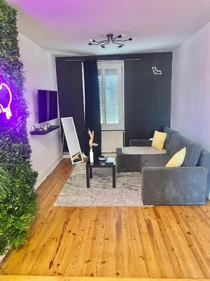 Coin salon dans l'établissement Appartement cosy LYON