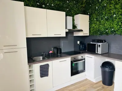 Cuisine ou kitchenette dans l'établissement Appartement cosy LYON