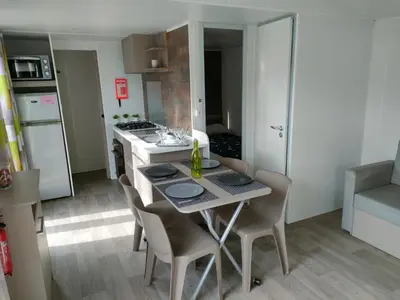 Cuisine ou kitchenette dans l'établissement Mobil-home Siblu Les Rives de Condrieu