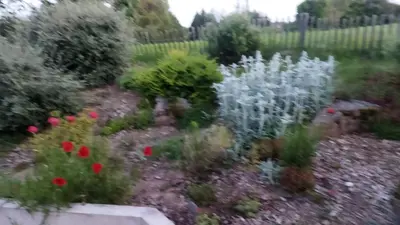 Jardin de l'établissement Chambre dans un écrin de verdure