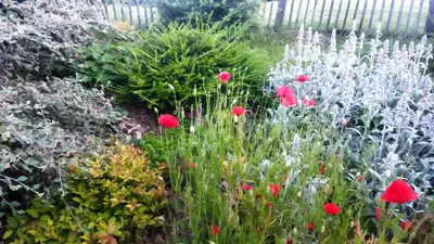 Jardin de l'établissement Chambre dans un écrin de verdure