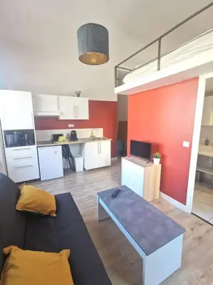 Cuisine ou kitchenette dans l'établissement Lumineux T1 de 23m2 à 100m des Métro/Tram