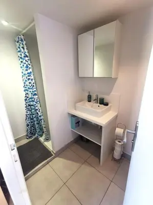 Salle de bains dans l'établissement Lumineux T1 de 23m2 à 100m des Métro/Tram