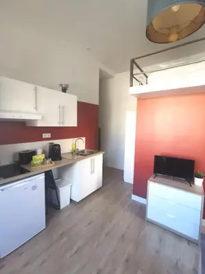 Cuisine ou kitchenette dans l'établissement Lumineux T1 de 23m2 à 100m des Métro/Tram