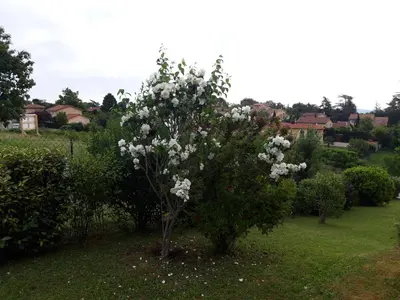 Jardin de l'établissement Comme dans un écrin - T2 de 50 m² avec jardin, terrasse et piscine