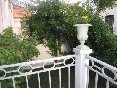 Jardin de l'établissement Maison au cœur de Lyon