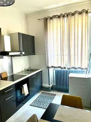 Cuisine ou kitchenette dans l'établissement Chic & Elégance Lyon Centre