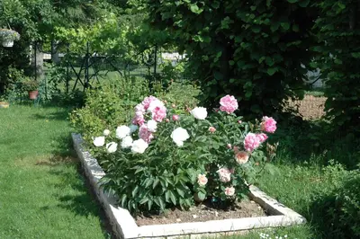 Jardin de l'établissement Le Jardin de Roses DOMINIQUE LOREAU