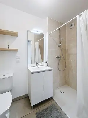 Salle de bains dans l'établissement Appartement cosy à Bron