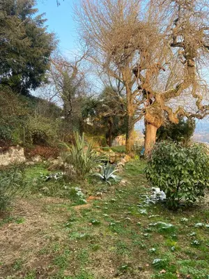 Paysage naturel près de le B&B/chambre d'hôtes