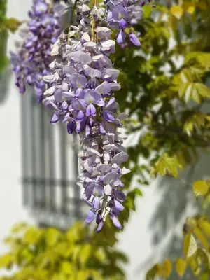 Jardin de l'établissement La Ruette aux Loups