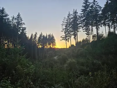 Paysage naturel près de la maison de vacances