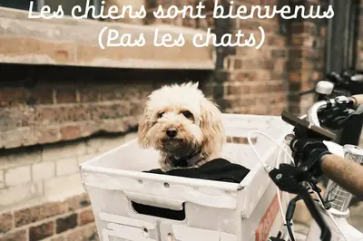 Animal ou animaux domestique(s) séjournant avec des clients dans l'établissement Vue Panoramique - Parking - Jazz 7min - Gare 200m
