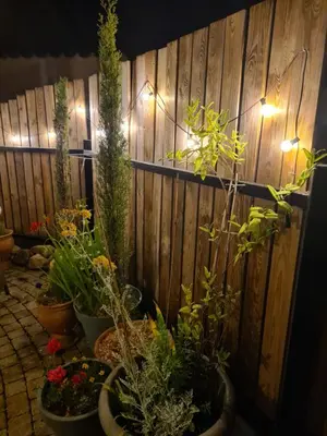 Jardin de l'établissement Gîte Le Petit Velours