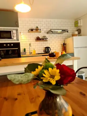 Cuisine ou kitchenette dans l'établissement Gîte Le Petit Velours