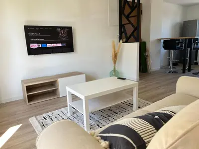 Télévision ou salle de divertissement dans l'établissement Superbe 3 chambres proche lyon et eurexpo parking