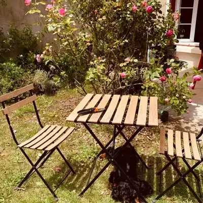 Ibis Rouge