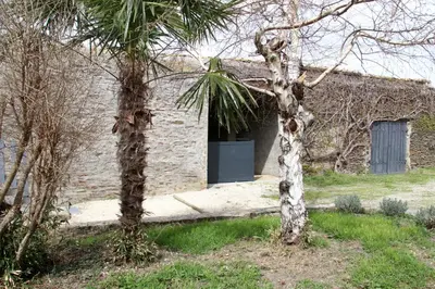 Jardin de l'établissement La Micale - Terrasse - Jardin - Au calme