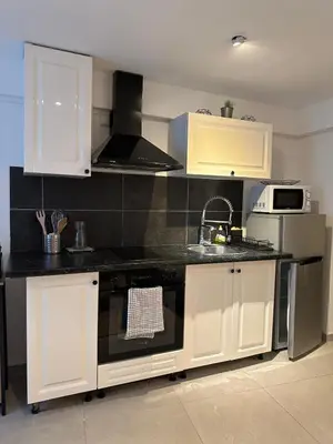 Cuisine ou kitchenette dans l'établissement Studio Les Etoiles de Chasselay