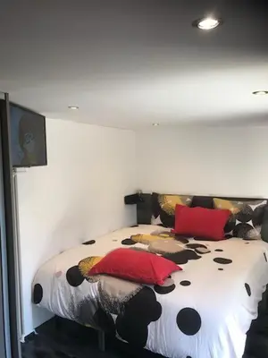 Un ou plusieurs lits dans un hébergement de l'établissement Studio Moovy Proche Stade Groupama, LCLD ARENA , Eurexpo Lyon