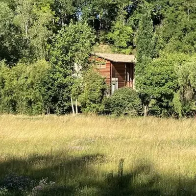 Une chambre d'hôte dans les bois
