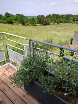 Jardin de l'établissement Un air de campagne