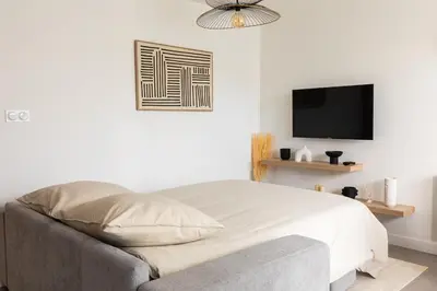 Télévision ou salle de divertissement dans l'établissement Douceur de Vivre Urbaine Jonage GROUPAMA STADIUM - ARENA - LYON AEROPORT SAINT EXUPERY - EUREXPO