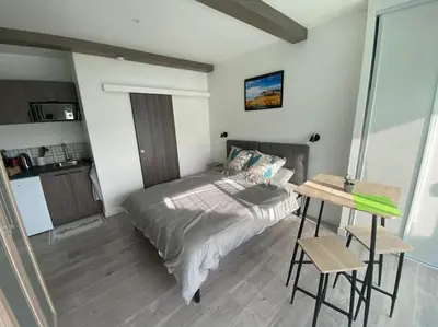 Cuisine ou kitchenette dans l'établissement Beau studio neuf et équipé