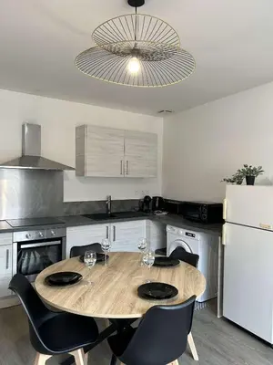 Cuisine ou kitchenette dans l'établissement Le Grand RepublicainT2