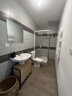 Salle de bains dans l'établissement Le Grand RepublicainT2
