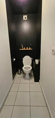 Salle de bains dans l'établissement Le cocon de soie Superbe T3 à Vaulx en Velin