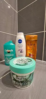 Plan de l'établissement Le cocon de soie Superbe T3 à Vaulx en Velin