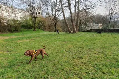 Animaux dans l'appartement ou à proximité