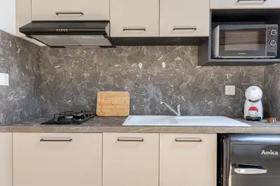 Cuisine ou kitchenette dans l'établissement Le Düsseldorf - Les appartements de l'olivier