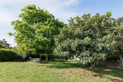 Jardin de l'établissement Aux Pierres Dorées 10 min centre de Lyon