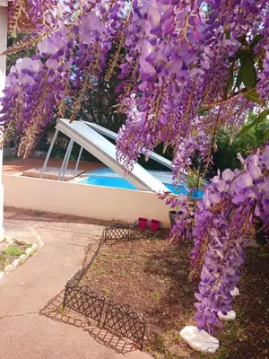 Piscine de l'établissement Studio avec jardin-Proche LDLC-Groupama Stadium-Eurexpo-métro ou située à proximité