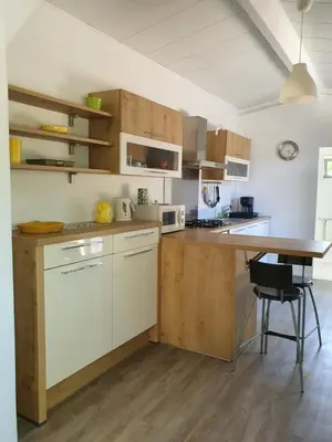 Cuisine ou kitchenette dans l'établissement Studio avec jardin-Proche LDLC-Groupama Stadium-Eurexpo-métro