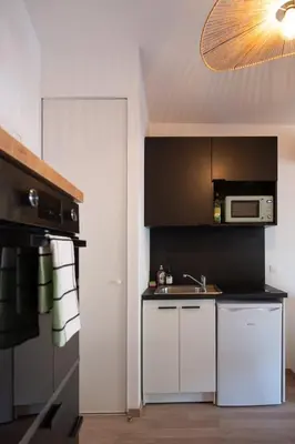 Cuisine ou kitchenette dans l'établissement Suite Kella 2 - Tassin - Beau studio rénové
