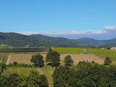 Paysage naturel près de la maison de vacances