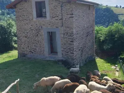 Plan de l'établissement Gîte rénové avec terrasse et animaux acceptés à Saint-Chamond - FR-1-496-324