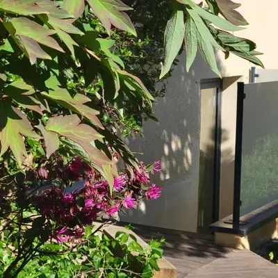 Jardin de l'établissement Visitez Lyon Studio frais & cosy Lyon - Eurexpo - LDLC Arena