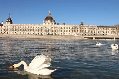 Vue sur la rivière ou le fleuve situé(e) à proximité de l'appartement