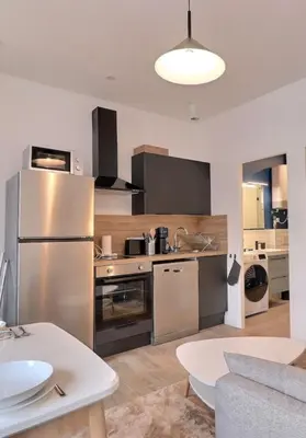 Cuisine ou kitchenette dans l'établissement Degemer - T1 Apartment in Charpennes - Villeurbanne