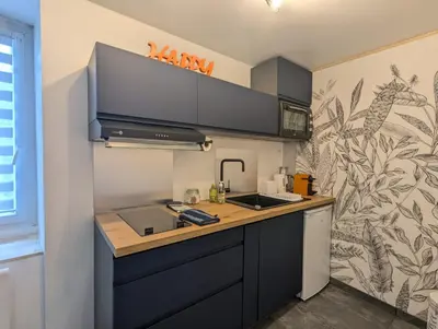 Cuisine ou kitchenette dans l'établissement Le Phoenix
