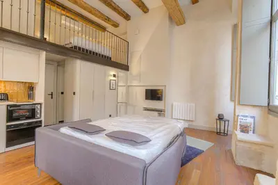 Un ou plusieurs lits dans un hébergement de l'établissement Duplex lumineux et authentique, Vieux-Lyon