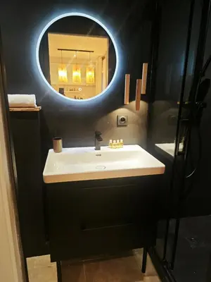 Salle de bains dans l'établissement T2 rénové, Parc de la Tête d'Or, Lyon 6