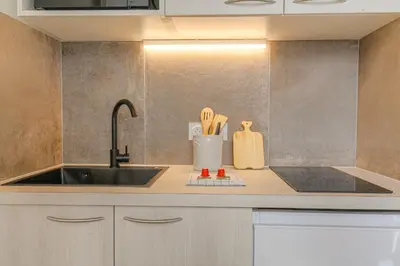 Cuisine ou kitchenette dans l'établissement Cosy et Atypique Hôtel de Ville et quais du Rhône