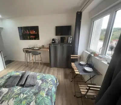 Télévision ou salle de divertissement dans l'établissement VERDI studio COSY au calme parking gratuit